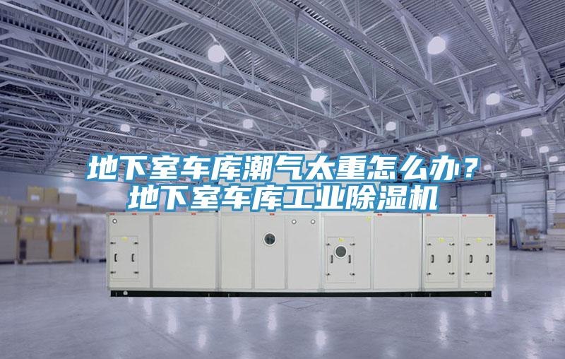 地下室車庫潮氣太重怎么辦？地下室車庫工業(yè)除濕機