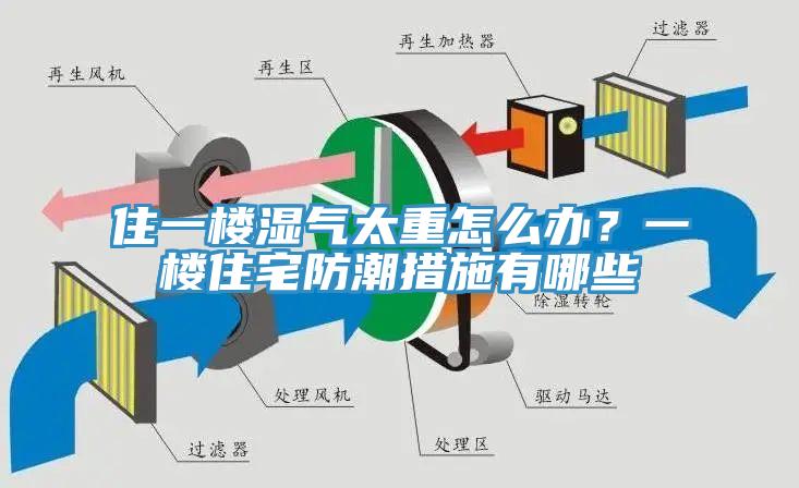 住一樓濕氣太重怎么辦？一樓住宅防潮措施有哪些