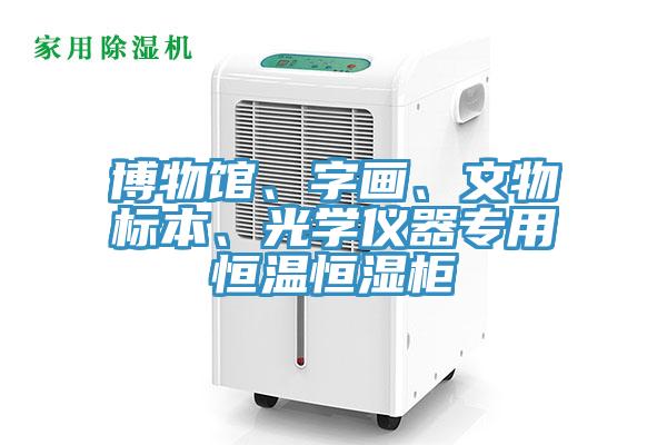 博物館、字畫、文物標本、光學儀器專用恒溫恒濕柜