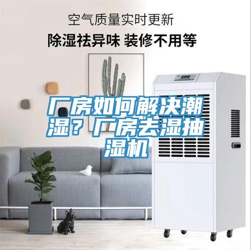廠房如何解決潮濕？廠房去濕抽濕機
