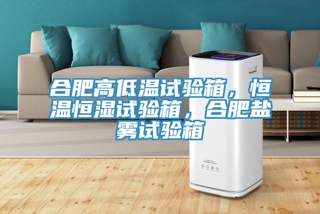 合肥高低溫試驗(yàn)箱，恒溫恒濕試驗(yàn)箱，合肥鹽霧試驗(yàn)箱