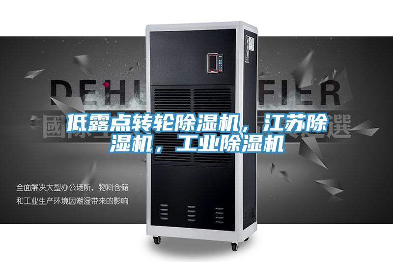 低露點轉(zhuǎn)輪除濕機(jī)，江蘇除濕機(jī)，工業(yè)除濕機(jī)