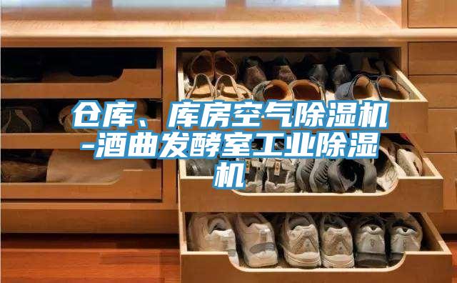 倉庫、庫房空氣除濕機-酒曲發(fā)酵室工業(yè)除濕機
