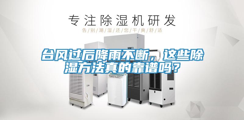臺風過后降雨不斷，這些除濕方法真的靠譜嗎？