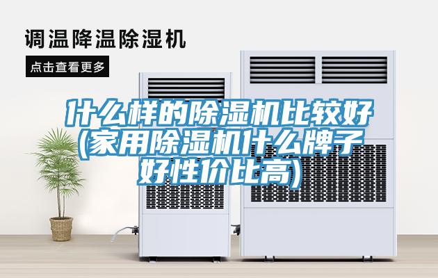 什么樣的除濕機(jī)比較好(家用除濕機(jī)什么牌子好性價比高)