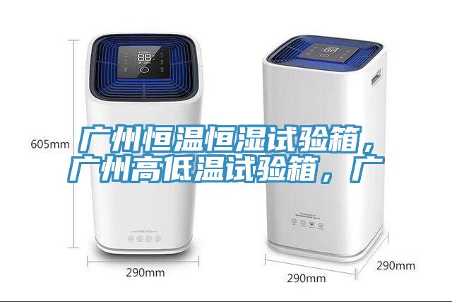 廣州恒溫恒濕試驗(yàn)箱，廣州高低溫試驗(yàn)箱，廣
