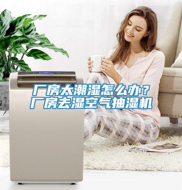 廠房太潮濕怎么辦？廠房去濕空氣抽濕機