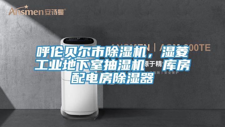 呼倫貝爾市除濕機(jī)，濕菱工業(yè)地下室抽濕機(jī)  庫房配電房除濕器