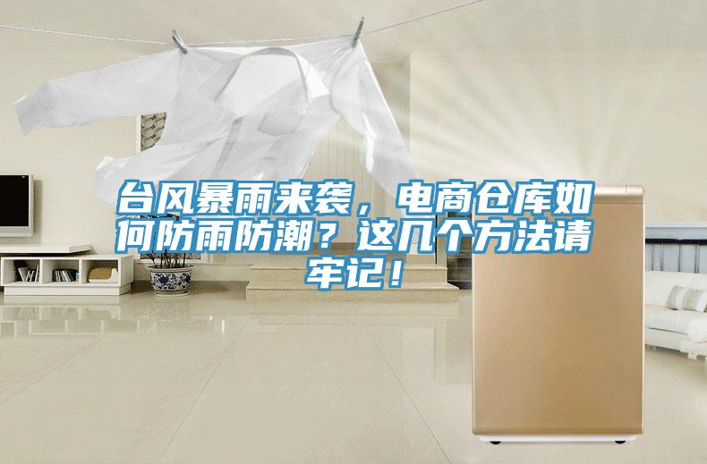 臺(tái)風(fēng)暴雨來(lái)襲，電商倉(cāng)庫(kù)如何防雨防潮？這幾個(gè)方法請(qǐng)牢記！