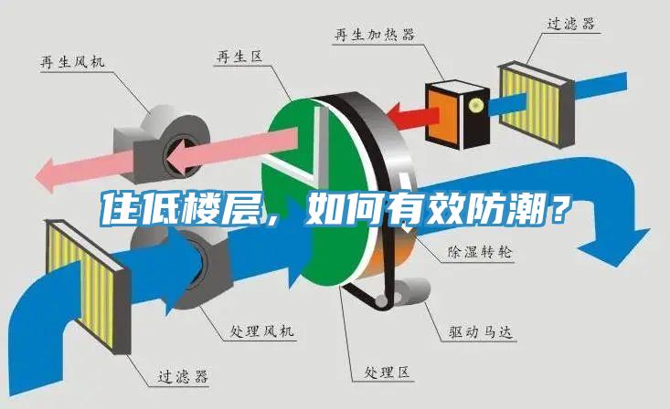 住低樓層，如何有效防潮？