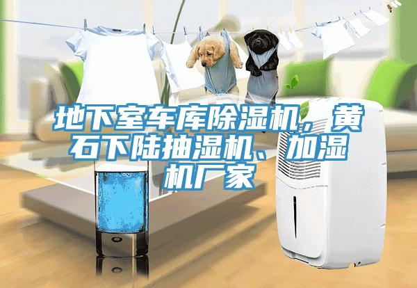 地下室車庫除濕機，黃石下陸抽濕機、加濕機廠家
