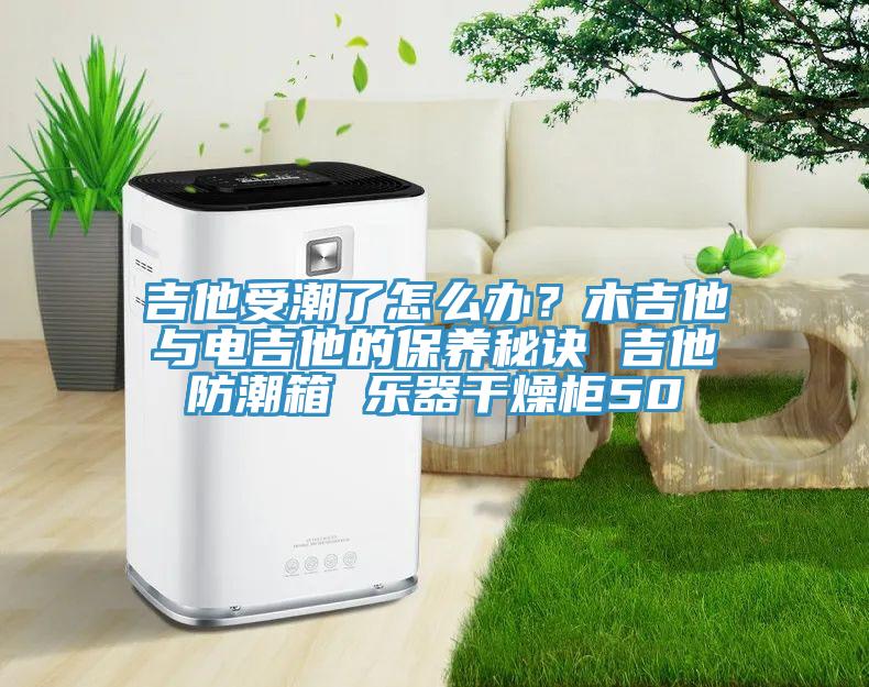 吉他受潮了怎么辦？木吉他與電吉他的保養(yǎng)秘訣 吉他防潮箱 樂器干燥柜50