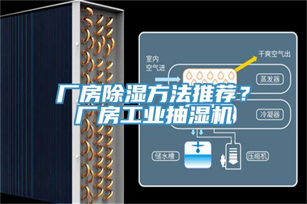 廠房除濕方法推薦？廠房工業(yè)抽濕機(jī)