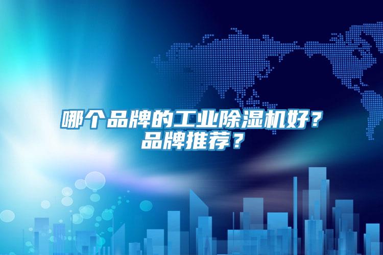 哪個品牌的工業(yè)除濕機好？品牌推薦？