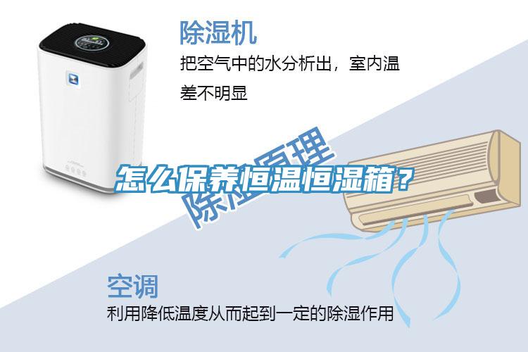怎么保養(yǎng)恒溫恒濕箱？