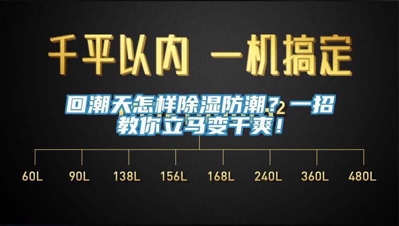 回潮天怎樣除濕防潮？一招教你立馬變干爽！