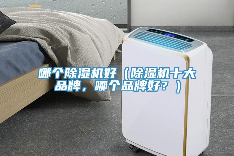 哪個(gè)除濕機(jī)好（除濕機(jī)十大品牌，哪個(gè)品牌好？）