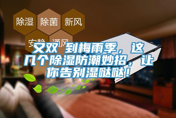 又雙叒到梅雨季，這幾個(gè)除濕防潮妙招，讓你告別濕噠噠！
