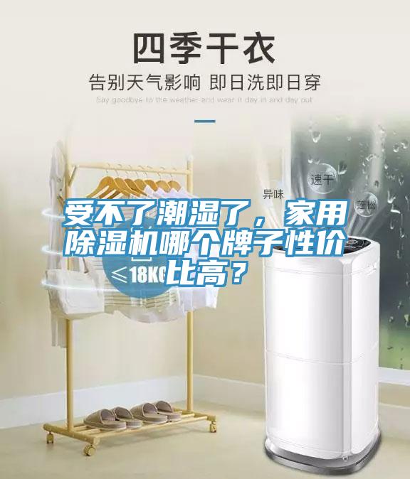 受不了潮濕了，家用除濕機哪個牌子性價比高？