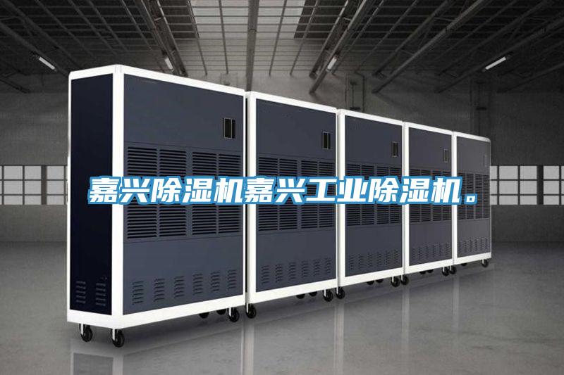 嘉興除濕機嘉興工業(yè)除濕機。