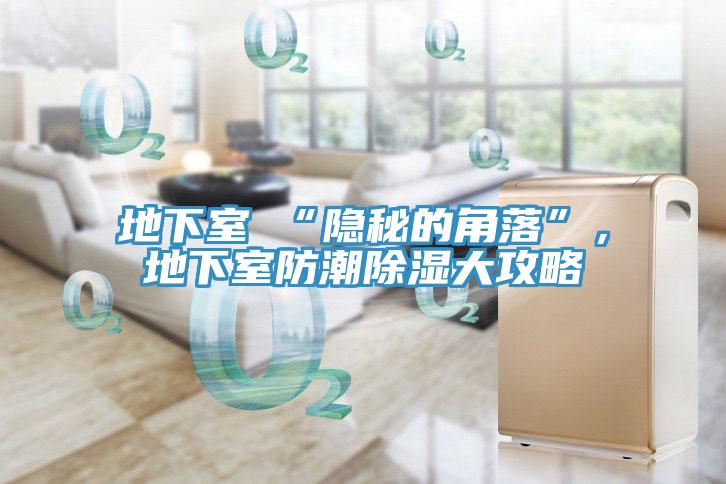 地下室≠“隱秘的角落”，地下室防潮除濕大攻略