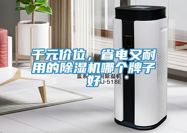 千元價位，省電又耐用的除濕機哪個牌子好
