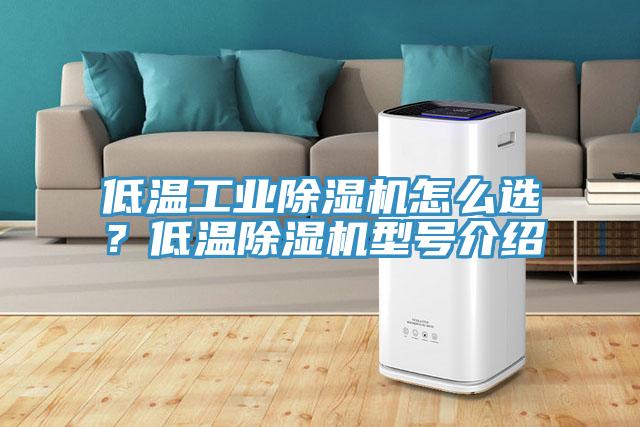低溫工業(yè)除濕機怎么選？低溫除濕機型號介紹