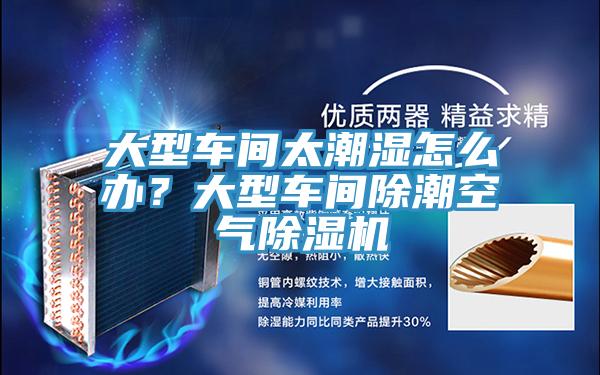 大型車間太潮濕怎么辦？大型車間除潮空氣除濕機