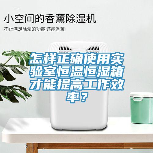 怎樣正確使用實(shí)驗(yàn)室恒溫恒濕箱才能提高工作效率？