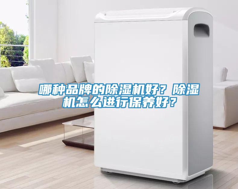 哪種品牌的除濕機(jī)好？除濕機(jī)怎么進(jìn)行保養(yǎng)好？