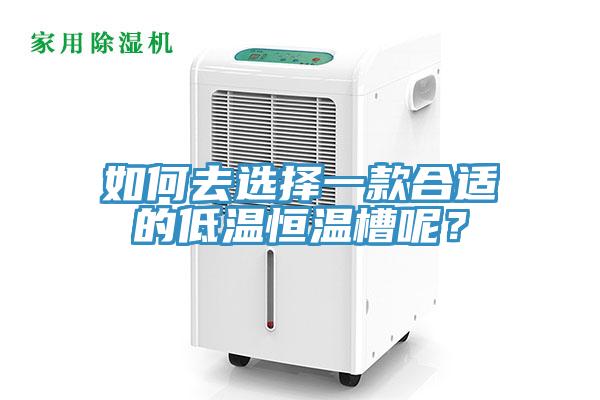 如何去選擇一款合適的低溫恒溫槽呢？