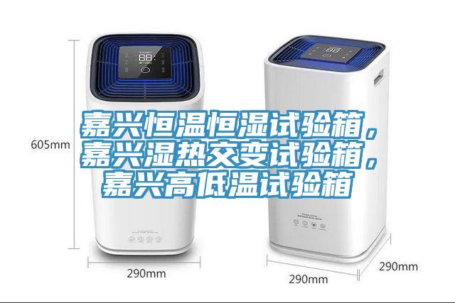 嘉興恒溫恒濕試驗(yàn)箱，嘉興濕熱交變?cè)囼?yàn)箱，嘉興高低溫試驗(yàn)箱