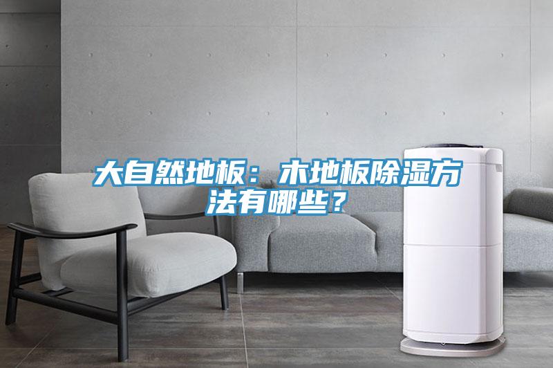 大自然地板：木地板除濕方法有哪些？
