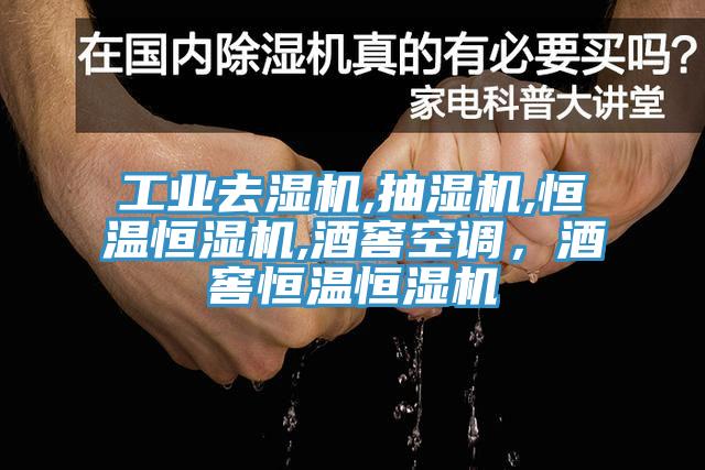 工業(yè)去濕機,抽濕機,恒溫恒濕機,酒窖空調，酒窖恒溫恒濕機