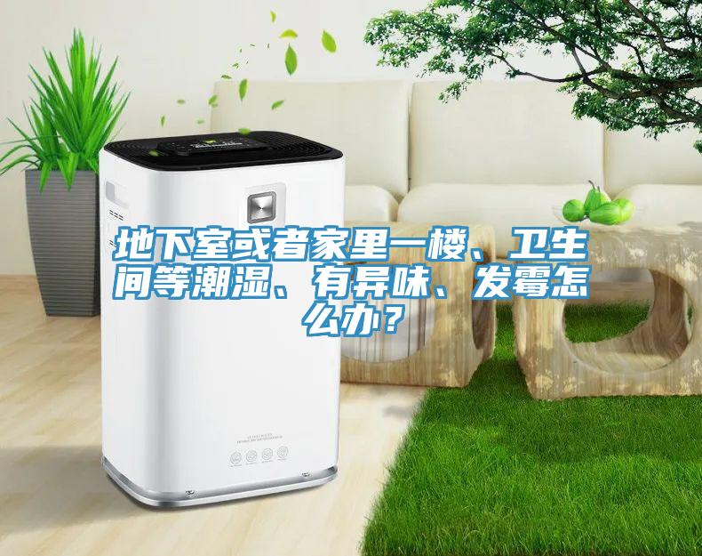 地下室或者家里一樓、衛(wèi)生間等潮濕、有異味、發(fā)霉怎么辦？
