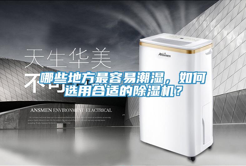 哪些地方最容易潮濕，如何選用合適的除濕機？