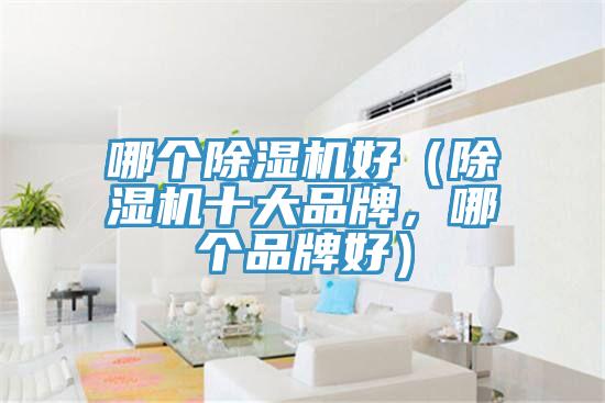 哪個(gè)除濕機(jī)好（除濕機(jī)十大品牌，哪個(gè)品牌好）