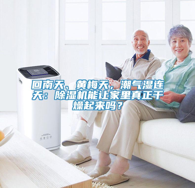 回南天、黃梅天，潮氣濕連天：除濕機能讓家里真正干燥起來嗎？