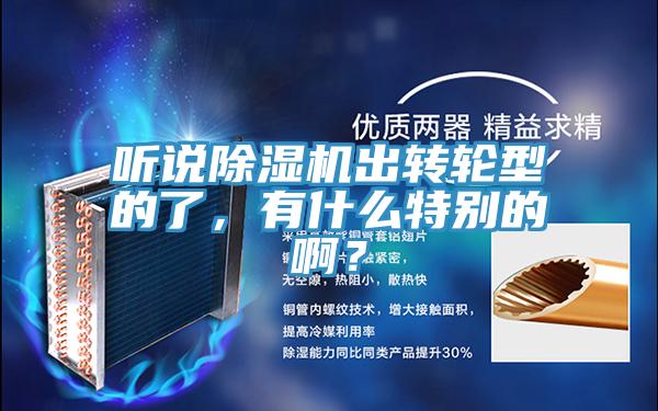 聽說除濕機(jī)出轉(zhuǎn)輪型的了，有什么特別的啊？