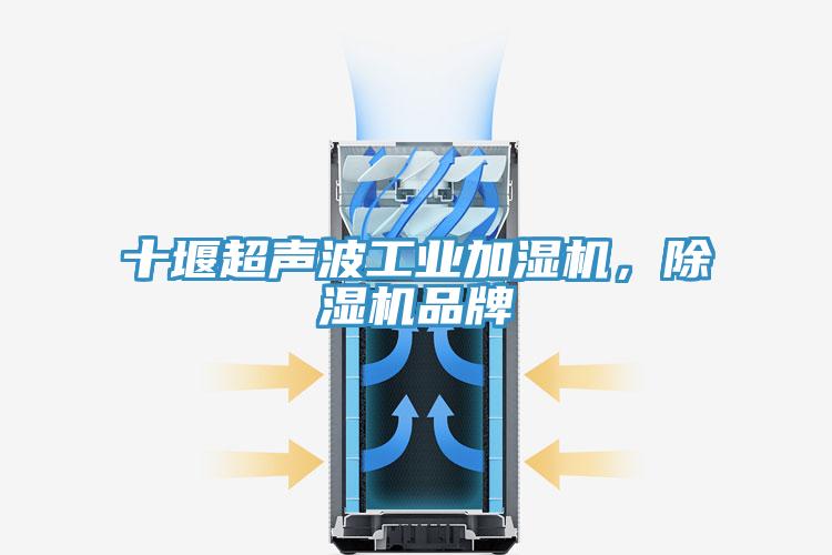 十堰超聲波工業(yè)加濕機(jī)，除濕機(jī)品牌