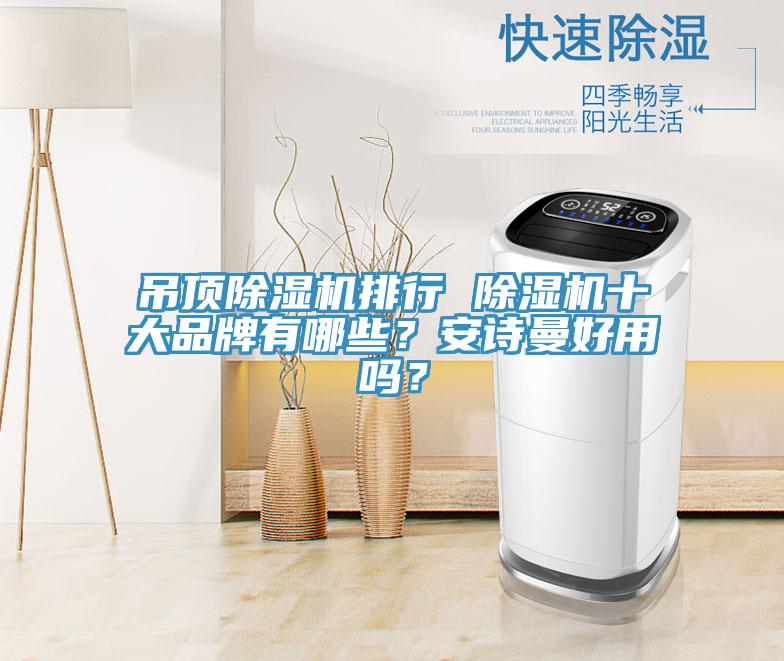 吊頂除濕機(jī)排行 除濕機(jī)十大品牌有哪些？安詩(shī)曼好用嗎？