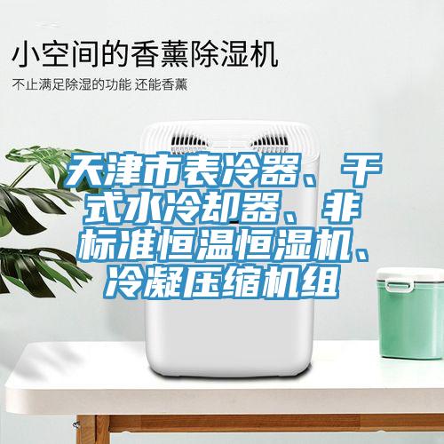 天津市表冷器、干式水冷卻器、非標(biāo)準(zhǔn)恒溫恒濕機(jī)、冷凝壓縮機(jī)組