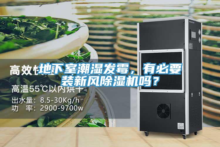 地下室潮濕發(fā)霉，有必要裝新風(fēng)除濕機(jī)嗎？