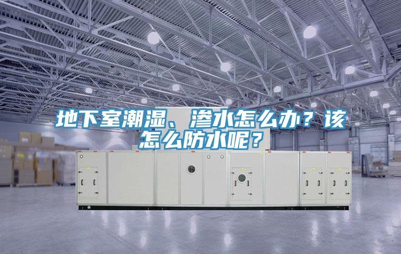 地下室潮濕、滲水怎么辦？該怎么防水呢？