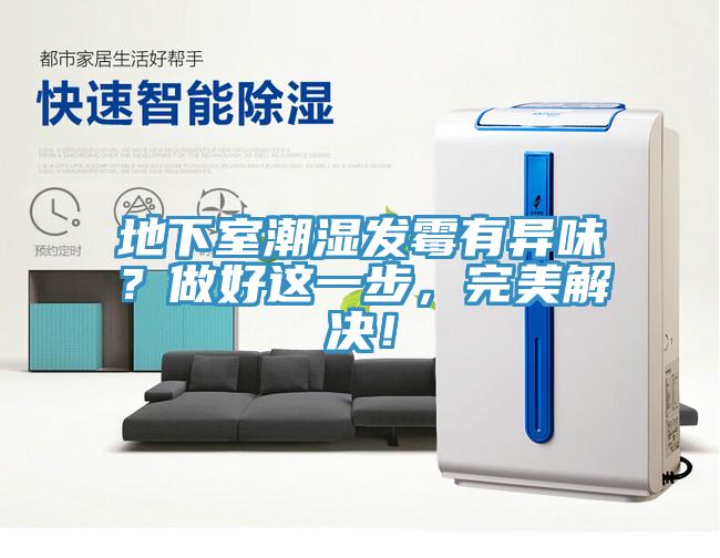 地下室潮濕發(fā)霉有異味？做好這一步，完美解決！