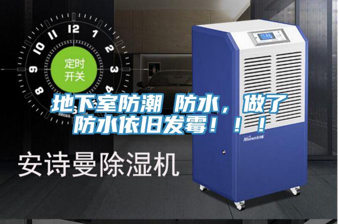 地下室防潮≠防水，做了防水依舊發(fā)霉?。?！