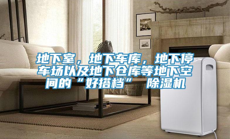 地下室，地下車庫(kù)，地下停車場(chǎng)以及地下倉(cāng)庫(kù)等地下空間的“好搭檔” 除濕機(jī)