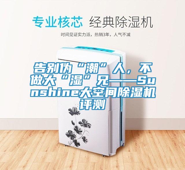 告別偽“潮”人，不做大“濕”兄——Sunshine大空間除濕機評測