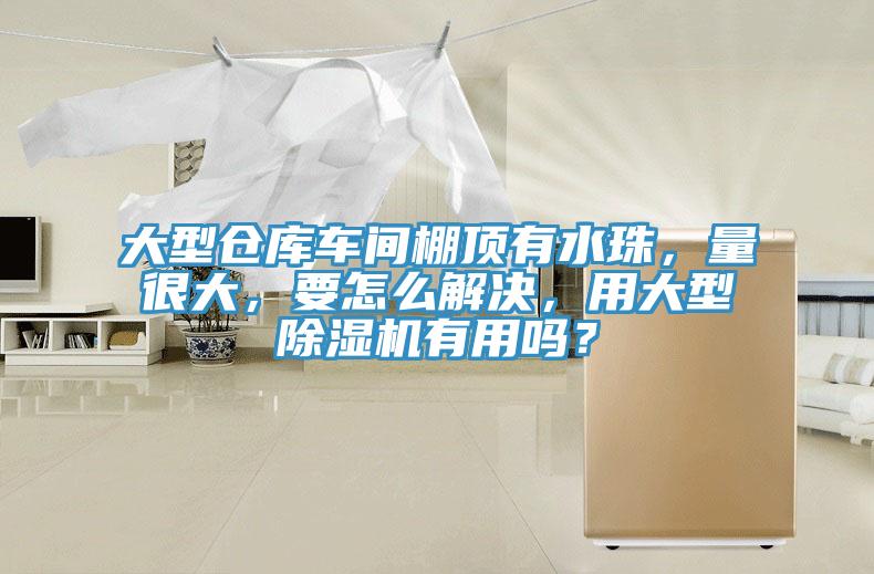 大型倉庫車間棚頂有水珠，量很大，要怎么解決，用大型除濕機有用嗎？
