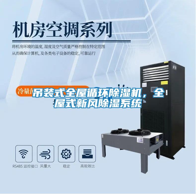 吊裝式全屋循環(huán)除濕機(jī)，全屋式新風(fēng)除濕系統(tǒng)